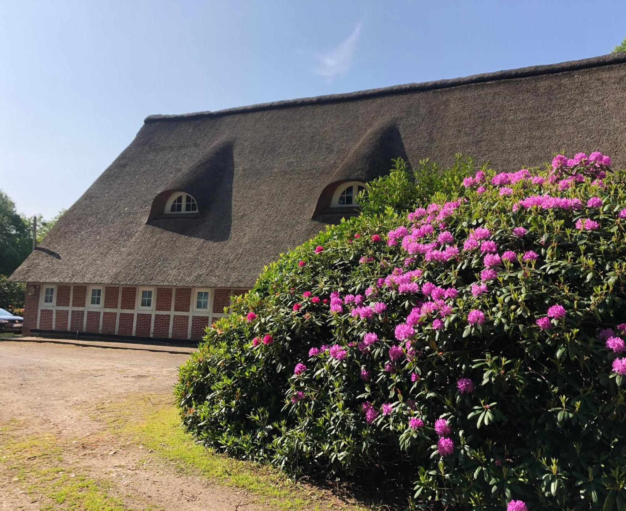 Ferienwohnungen Unter Den Eichen Stade Exterior photo